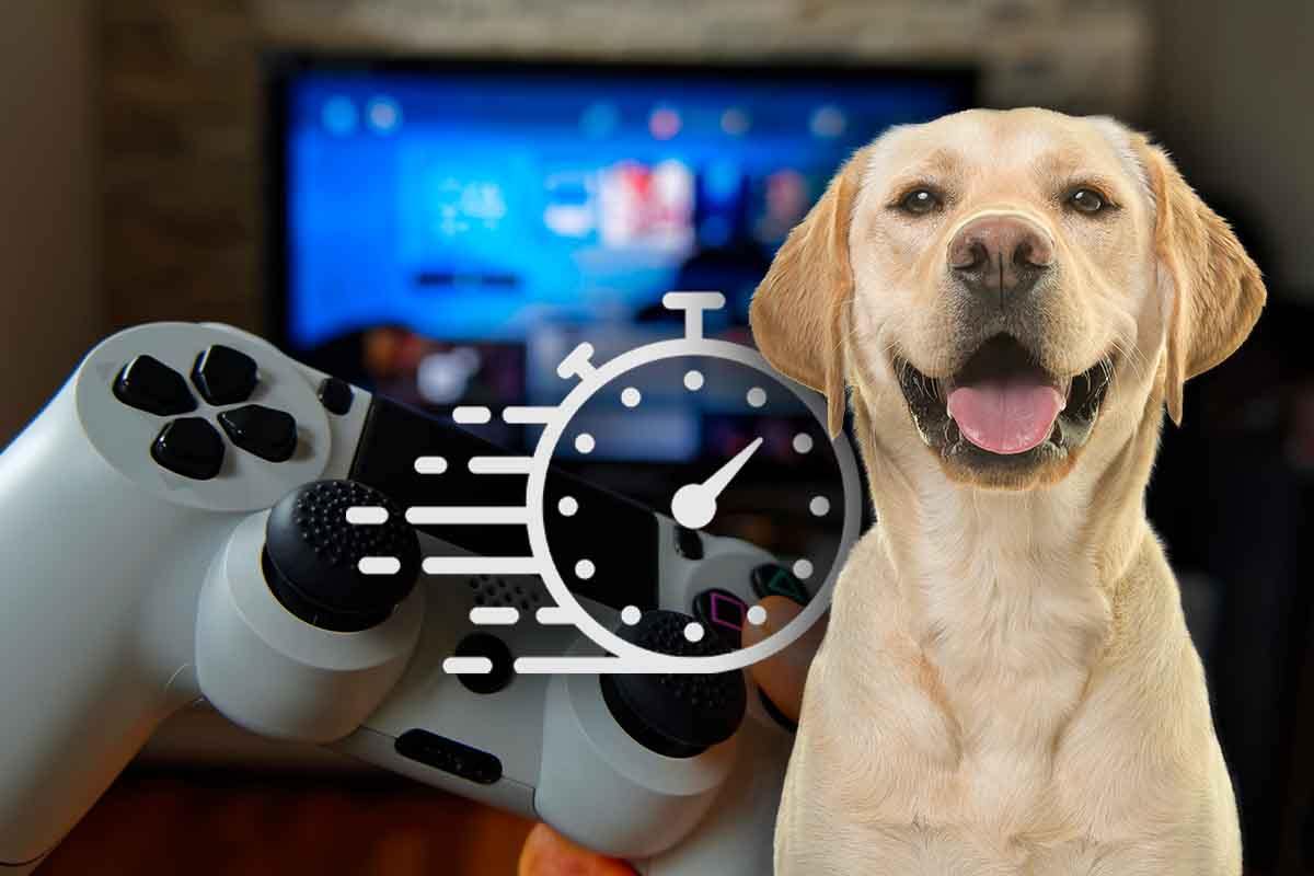 un cane ha stabilito un record nel mondo dei videogiochi